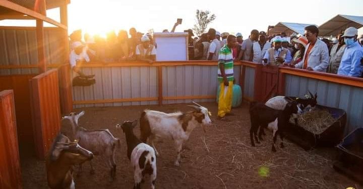 AGRICULTURE – Des certificats fonciers octroyés à 80 familles du Sud pour marquer le lancement du projet « titre vert » dans les régions d’Androy et d’Anosy
