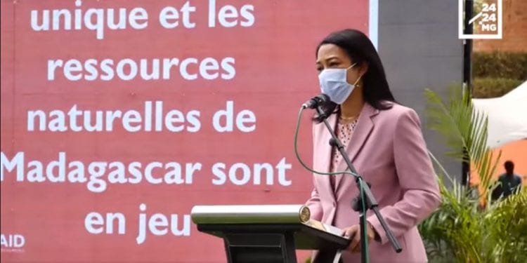 BIODIVERSITE – Quand la réouverture des frontières suscite des inquiétudes en termes de reprise des trafics illicites