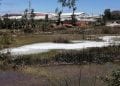 EAU – La Jirama assure que le marais où se sont déversés des produits douteux à Ambohimanambola ne communique pas directement avec la rivière Ikopa.