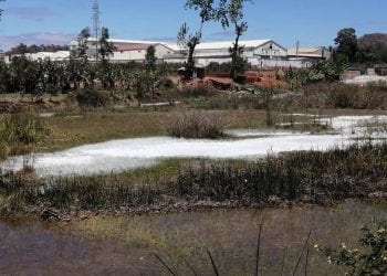 EAU – La Jirama assure que le marais où se sont déversés des produits douteux à Ambohimanambola ne communique pas directement avec la rivière Ikopa.