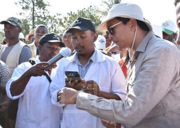 ELEVAGE- Rajoelina lance le programme de boucles d’oreilles électroniques pour la traçabilité des zébus