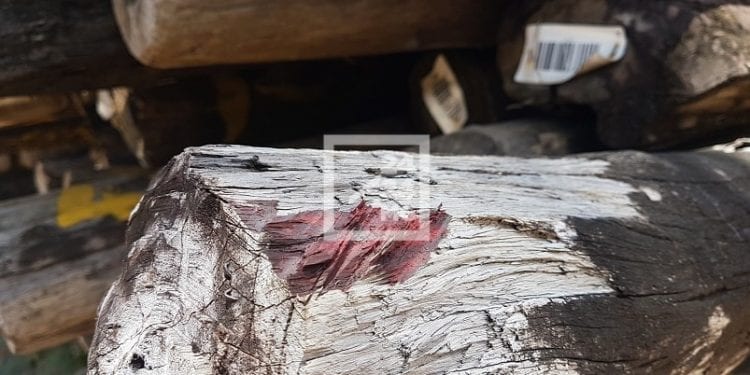 ENVIRONNEMENT- Le gouvernement mise sur la transformation des stocks saisis de bois de rose et repousse à plus tard le règlement des stocks déclarés
