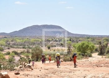 INSECURITE ALIMENTAIRE – Amnesty International exhorte les pays ayant le plus contribué au changement climatique à fournir une aide financière aux populations du Sud de Madagascar
