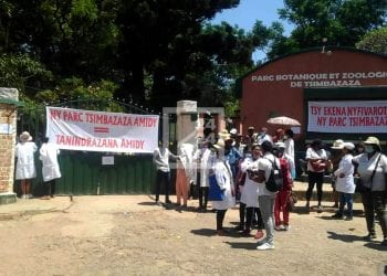 RECHERCHE SCIENTIFIQUE – Les employés du Parc botanique et zoologique de Tsimbazaza se mettent en grève en attendant les discussions avec le ministère de l’Enseignement supérieur sur les rumeurs de privatisation de la gestion du parc