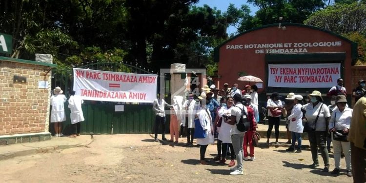 RECHERCHE SCIENTIFIQUE – Les employés du Parc botanique et zoologique de Tsimbazaza se mettent en grève en attendant les discussions avec le ministère de l’Enseignement supérieur sur les rumeurs de privatisation de la gestion du parc