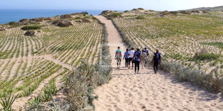 COOPERATION – 100 millions de dollars supplémentaires offerts par la Banque mondiale au projet Mionjo, projet d’appui aux moyens de subsistance résilients dans le Sud de Madagascar