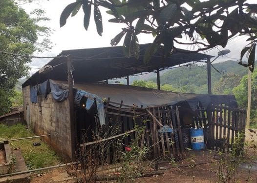 ELECTRICITE – De nouveaux groupes électrogènes pour les districts d’Antanambao Manampontsy et de Marolambo