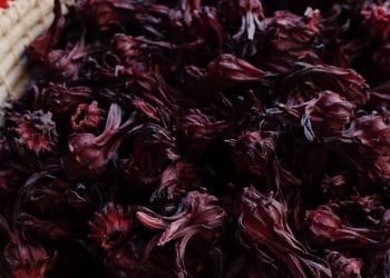 NUTRITION – L’hibiscus, la fleur aux grandes vertus