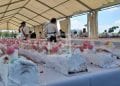 PATISSERIE – 2.986 œufs, 100 kilos de sucre et 100 kilos de farine pour permettre à sept chefs de Madagascar de réaliser la plus grande bûche de Noël d&rsquo;Afrique longue de 284 mètres