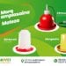 #agrivet #fiompiana #Abreuvoir #mangeoire