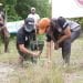 REFORESTATION – La campagne de reboisement lancée sans le président de la République, 50.000 jeunes plants mis en terre et 500 kilos de graines semés à Mahanoro ce mercredi