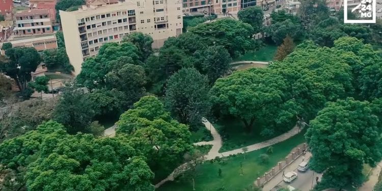 URBANISME – Le jardin botanique d’Ambohijatovo, un havre de verdure au cœur de la capitale