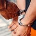 KIDNAPPING – Les forces de l&rsquo;ordre arrêtent un individu soupçonné d&rsquo;être le commanditaire du rapt d&rsquo;enfant survenu à Ambodivonkely Alarobia la semaine dernière