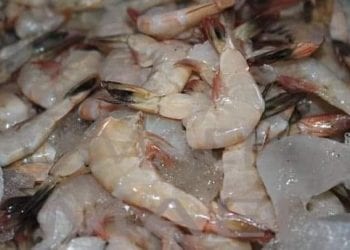 FILIERE CREVETTE – 39 navires de pêches prêts à opérer, une redevance de 15 milliards d&rsquo;ariary attendue pour la campagne 2022
