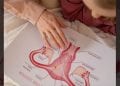 ONCOLOGIE – Vivre sainement et dans la sérénité pour prévenir le cancer du col de l’utérus