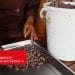 AGRICULTURE – « Le cacao de Madagascar renferme l’histoire de son terroir »