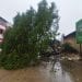 CATASTROPHE – Le Bureau national de gestion des risques et des catastrophes rapporte au moins deux morts suite au passage de la forte tempête tropicale Jasmine dans la région du Sud de Madagascar