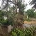 INTEMPERIE – Pluies et vents violents à Toliara en attendant l&rsquo;atterrissage de la forte tempête tropicale Jasmine
