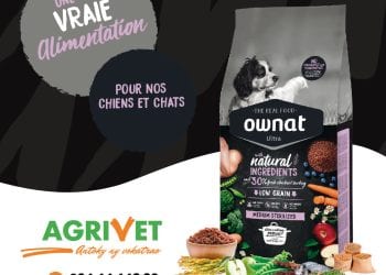 OWNAT ULTRA Medium Sterilized – Une alimentation spéciale pour les chiens de race moyenne stérilisés, avec des besoins énergétiques moins importants et une tendance au surpoids.