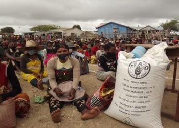 SÉCURITÉ ALIMENTAIRE – Des semences pour les cultures de contre saison pour 88.000 ménages dans l’Anosy, Androy et Atsimo Andrefana