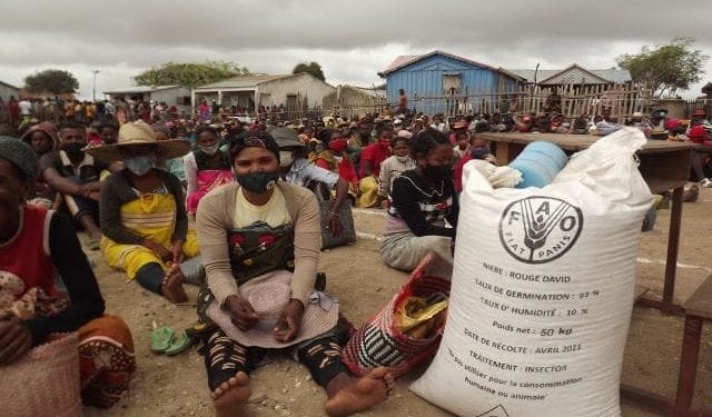 SÉCURITÉ ALIMENTAIRE – Des semences pour les cultures de contre saison pour 88.000 ménages dans l’Anosy, Androy et Atsimo Andrefana