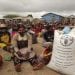 SÉCURITÉ ALIMENTAIRE – Des semences pour les cultures de contre saison pour 88.000 ménages dans l’Anosy, Androy et Atsimo Andrefana