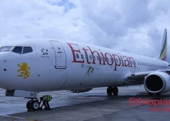 TRANSPORT AERIEN – La porte-parole du gouvernement annonce l&rsquo;affectation permanente d’agents des douanes malgaches à l&rsquo;aéroport d&rsquo;Addis-Abeba pour fouiller les voyageurs en provenance de Madagascar à leur arrivée