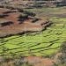 MENACE DE CRISE ALIMENTAIRE – Les pays africains encouragés à produire leurs propres denrées, Madagascar ambitionne d’être le grenier à riz de l’Afrique et de l’océan Indien