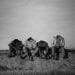 PHOTOGRAPHIE – « Sarotava » de Matchbox parmi les finalistes du Prix de la photographie contemporaine d’Afrique