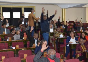 ACTIONNARIAT – Feu vert des députés pour la participation de l’Etat au capital de la société Neho, promotrice du projet Sahofika