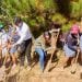 DÉVELOPPEMENT DURABLE – Le ministère de l&rsquo;Environnement appelle à l’installation de pare-feu pour sécuriser les forêts des feux