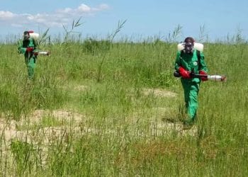LUTTE ANTIACRIDIENNE – Les 7 millions de dollars dépensés en moins d’un an pour la campagne anti-acridienne 2021-2022 pouvaient assurer huit à neuf ans de campagne de prévention, selon la FAO