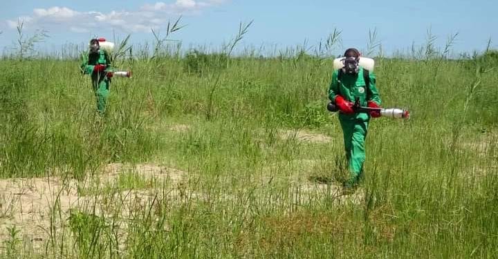 LUTTE ANTIACRIDIENNE – Les 7 millions de dollars dépensés en moins d’un an pour la campagne anti-acridienne 2021-2022 pouvaient assurer huit à neuf ans de campagne de prévention, selon la FAO