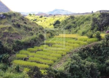PERSPECTIVES ECONOMIQUES – La projection du taux de croissance pour 2022 réduite de moitié  pour Madagascar, passant de 5,4% à 2,6%, le taux de pauvreté restera proche du sommet historique de 81%