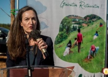 PROTECTION DE L’ENVIRONNEMENT : Le système des Nations Unies dénonce toute forme d&rsquo;intimidation à l&rsquo;encontre des personnes œuvrant pour la préservation des ressources naturelles
