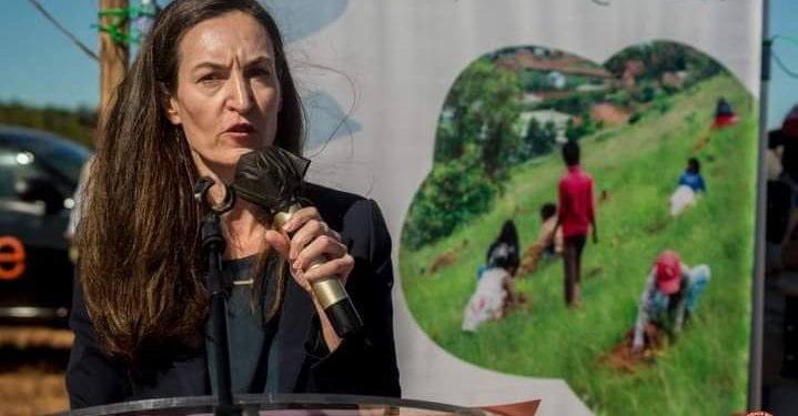 PROTECTION DE L’ENVIRONNEMENT : Le système des Nations Unies dénonce toute forme d’intimidation à l’encontre des personnes œuvrant pour la préservation des ressources naturelles