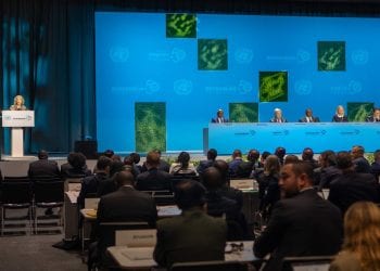 PROTECTION DE L’ENVIRONNEMENT – Madagascar présente ses réalisations et les défis qui restent encore à relever à la Conférence des Nations-Unies sur l’environnement de Stockholm