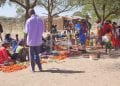 SÉCURITÉ ALIMENTAIRE – 16,9 millions de dollars de la Banque africaine de développement pour financer la mise en œuvre de la première phase du programme Picas en faveur des régions Anosy et Androy
