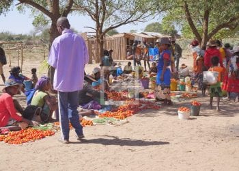 SÉCURITÉ ALIMENTAIRE – 16,9 millions de dollars de la Banque africaine de développement pour financer la mise en œuvre de la première phase du programme Picas en faveur des régions Anosy et Androy