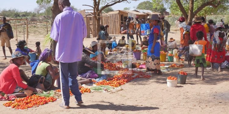 SÉCURITÉ ALIMENTAIRE – 16,9 millions de dollars de la Banque africaine de développement pour financer la mise en œuvre de la première phase du programme Picas en faveur des régions Anosy et Androy