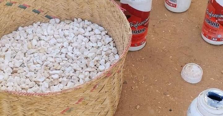 AGRICULTURE – Des cultures menacées par l&rsquo;invasion de rats dans les régions du Melaky et du Menabe