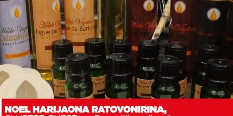 NOEL HARIJAONA RATOVONIRINA, CLUSTER CHESE – « Des milliers d’espèces de plantes malgaches n’attendent qu’à être exploitées »