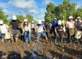 ENVIRONNEMENT – Plus de 100.000 jeunes plants de mangroves mis en terre ce dimanche pour lancer la célébration de la journée mondiale des mangroves du 26 Juillet