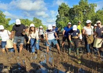 ENVIRONNEMENT – Plus de 100.000 jeunes plants de mangroves mis en terre ce dimanche pour lancer la célébration de la journée mondiale des mangroves du 26 Juillet