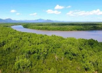 GESTION DES AIRES MARINES PROTÉGÉES – Le ministère de l’Environnement cherche une vingtaine de projets oeuvrant dans la gestion des aires marines protégées à subventionner avec une enveloppe globale de un million de dollars