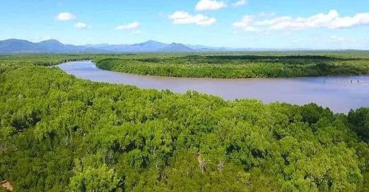 GESTION DES AIRES MARINES PROTÉGÉES – Le ministère de l’Environnement cherche une vingtaine de projets oeuvrant dans la gestion des aires marines protégées à subventionner avec une enveloppe globale de un million de dollars