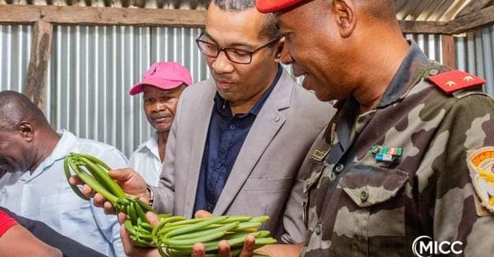 COMMERCE – Un opérateur de Nosiarina, Sambava, se dit prêt à acheter toute la production de vanille verte de Belamatra au prix plancher de 75.000 ariary