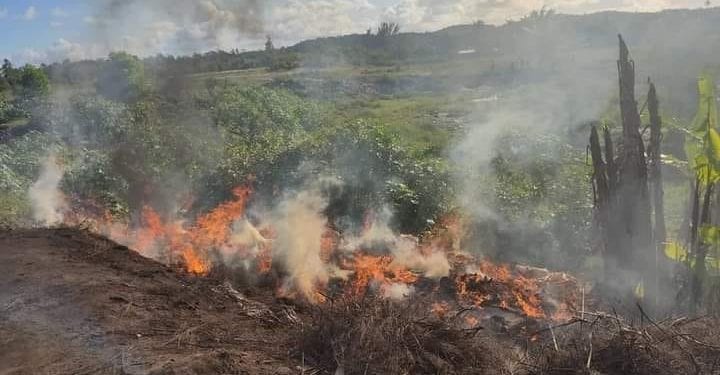 CONSOMMATION – 150 tonnes de riz importés pourris, dont du « vary tsinjo », détruits à Toamasina, les consommateurs appelés à la vigilance