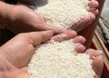 CONSOMMATION – Du riz à 2.000 ariary le kilo et du sucre à 4.000 ariary le kilo durant la tenue des Journées mondiale de la jeunesse à Antsirabe