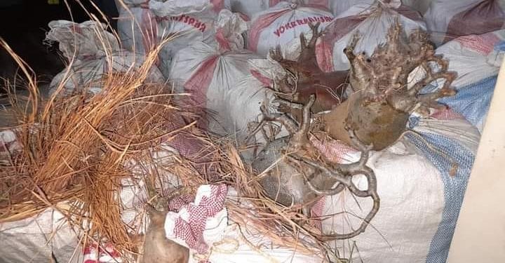 TRAFIC DE RESSOURCES NATURELLES – Un véhicule transportant 20 sacs de baobab nain intercepté à Ihosy